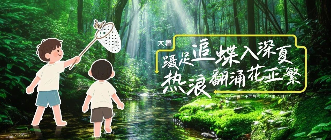 執光捕夏機，熱浪蘊商綻